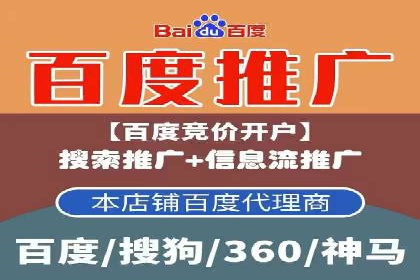 SEM投放策略优化案例分析